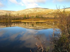 IMG_7286.JPG