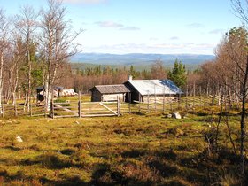 IMG_7315.JPG