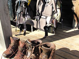 IMG_7330.JPG