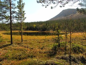 IMG_7336.JPG