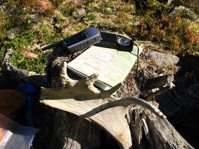 IMG_7350.JPG