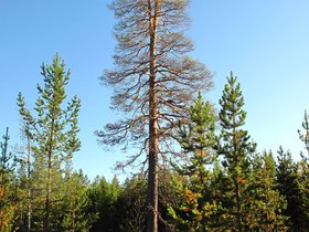 IMG_7360.JPG