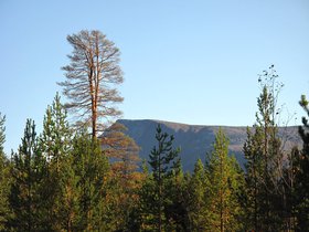 IMG_7366.JPG