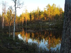 IMG_7375.JPG