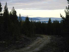 IMG_7380.JPG