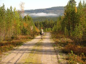 IMG_7396.JPG