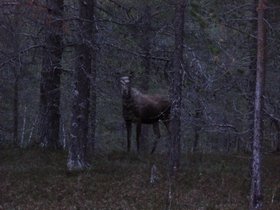 IMG_7480.JPG