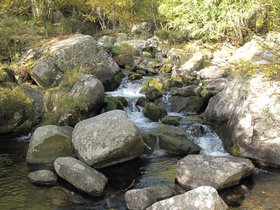 IMG_9504.JPG