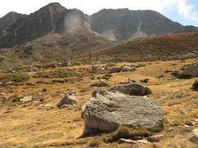 IMG_9555.JPG