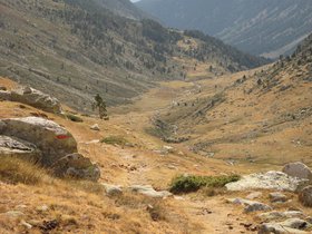 IMG_9564.JPG