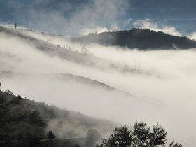 IMG_9667.JPG
