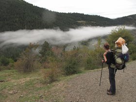 IMG_9739.JPG