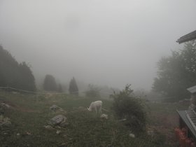 IMG_9783.JPG