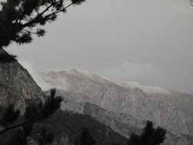 IMG_9798.JPG
