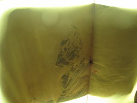 IMG_9813.JPG
