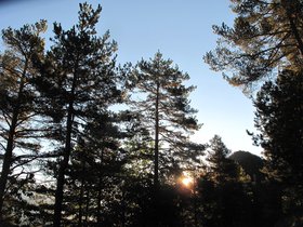 IMG_9864.JPG