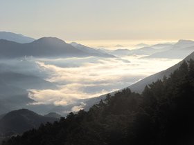 IMG_9869.JPG