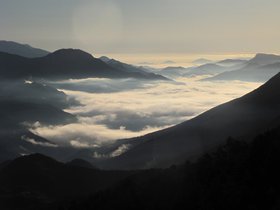 IMG_9873.JPG