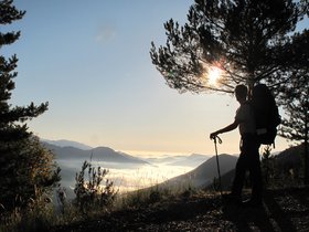 IMG_9878.JPG