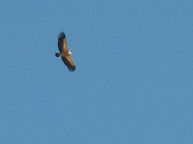 IMG_9896.JPG