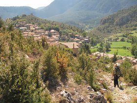 IMG_9909.JPG