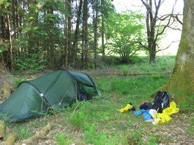 IMG_1684.JPG