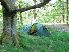 IMG_1685.JPG