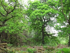 IMG_1704.JPG