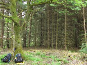 IMG_1706.JPG