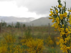IMG_1822.JPG