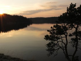 IMG_5130.JPG