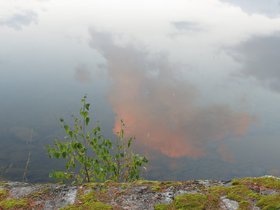 IMG_5139.JPG