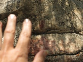 IMG_5172.JPG