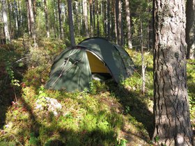 IMG_5234.JPG