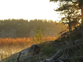 IMG_5271.JPG
