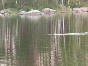 IMG_5277.JPG