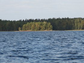 IMG_5313.JPG
