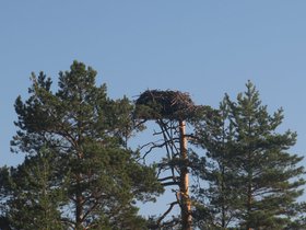 IMG_5344.JPG