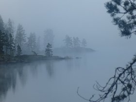 IMG_5374.JPG