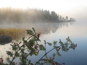 IMG_5377.JPG