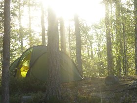 IMG_5381.JPG