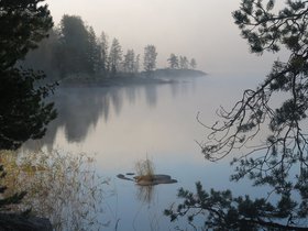 IMG_5382.JPG