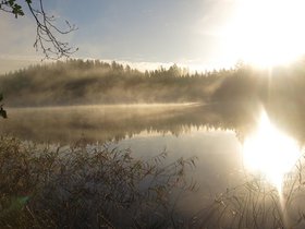 IMG_5384.JPG