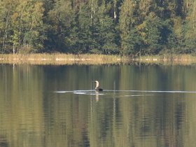 IMG_5405.JPG