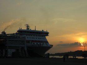 IMG_5505.JPG