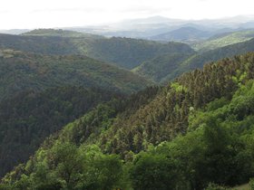 IMG_6418.JPG