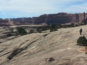 20151008_111614.jpg