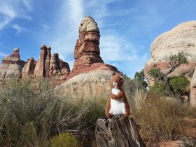 20151008_164633.jpg