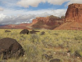IMG_7380.JPG
