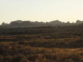 IMG_7428.JPG